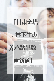 甘肃金塔：林下生态养鸡踏出致富新道
