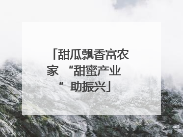 甜瓜飘香富农家 “甜蜜产业”助振兴