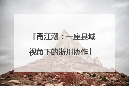 甬江潮：一座县域视角下的浙川协作