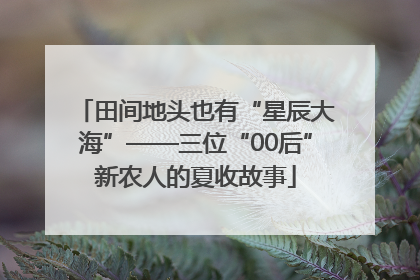 田间地头也有“星辰大海”——三位“00后”新农人的夏收故事