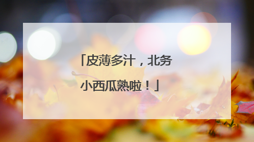 皮薄多汁，北务小西瓜熟啦！