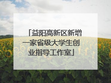 益阳高新区新增一家省级大学生创业指导工作室