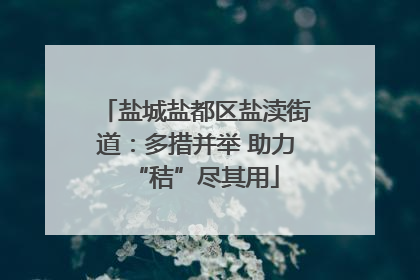 盐城盐都区盐渎街道：多措并举 助力“秸”尽其用