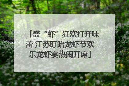 盛“虾”狂欢打开味蕾 江苏盱眙龙虾节欢乐龙虾宴热闹开席