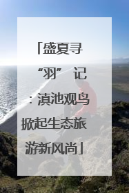 盛夏寻 “羽” 记：滇池观鸟掀起生态旅游新风尚