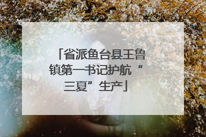 省派鱼台县王鲁镇第一书记护航“三夏”生产