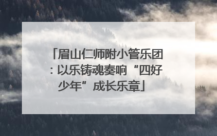 眉山仁师附小管乐团：以乐铸魂奏响“四好少年”成长乐章