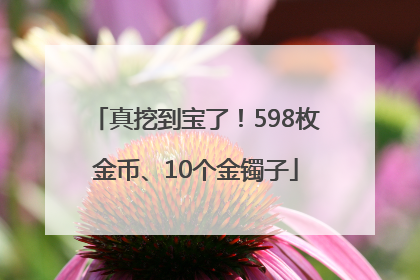 真挖到宝了！598枚金币、10个金镯子