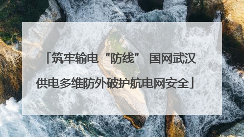 筑牢输电“防线” 国网武汉供电多维防外破护航电网安全