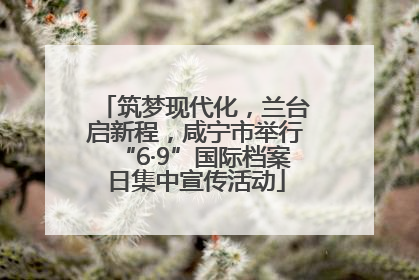 筑梦现代化，兰台启新程，咸宁市举行“6·9”国际档案日集中宣传活动