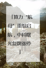 算力“航母”重组启航，中科曙光复牌涨停