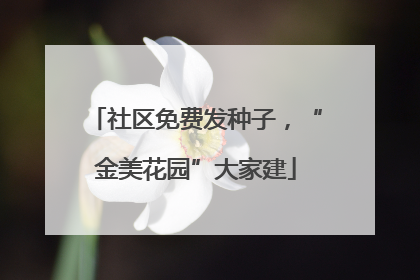 社区免费发种子，“金美花园”大家建
