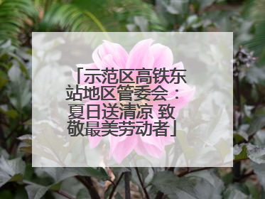 示范区高铁东站地区管委会：夏日送清凉 致敬最美劳动者