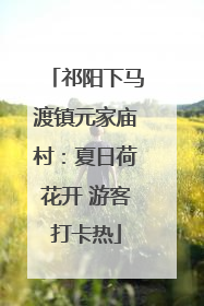 祁阳下马渡镇元家庙村：夏日荷花开 游客打卡热