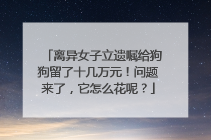 离异女子立遗嘱给狗狗留了十几万元！问题来了，它怎么花呢？