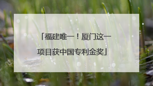 福建唯一！厦门这一项目获中国专利金奖