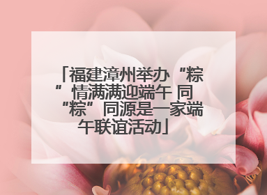 福建漳州举办“粽”情满满迎端午 同“粽”同源是一家端午联谊活动