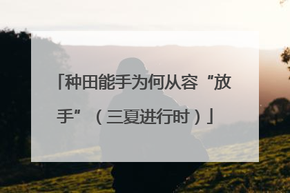 种田能手为何从容“放手”（三夏进行时）