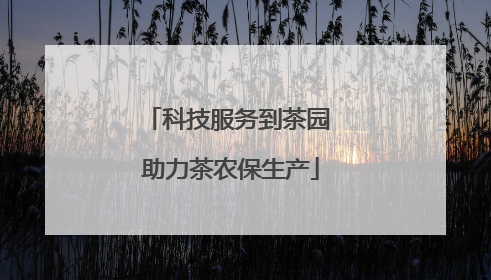 科技服务到茶园 助力茶农保生产