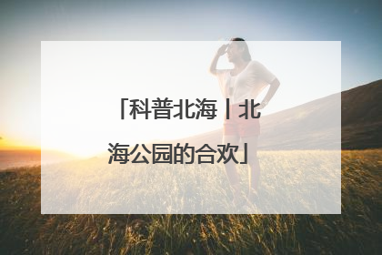 科普北海丨北海公园的合欢
