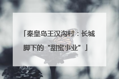 秦皇岛王汉沟村：长城脚下的“甜蜜事业”