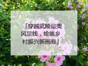 穿越武陵最美风景线，绘就乡村振兴新画卷