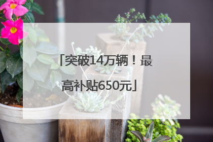 突破14万辆！最高补贴650元