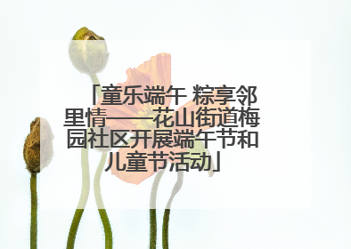 童乐端午 粽享邻里情——花山街道梅园社区开展端午节和儿童节活动