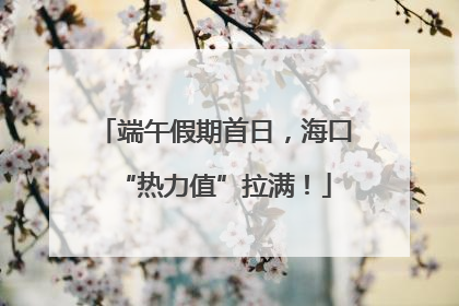 端午假期首日，海口“热力值”拉满！