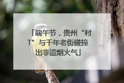 端午节，贵州“村T”与千年老街碰撞出非遗烟火气