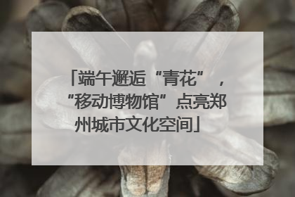 端午邂逅“青花”，“移动博物馆”点亮郑州城市文化空间