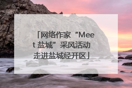 网络作家“Meet 盐城”采风活动走进盐城经开区