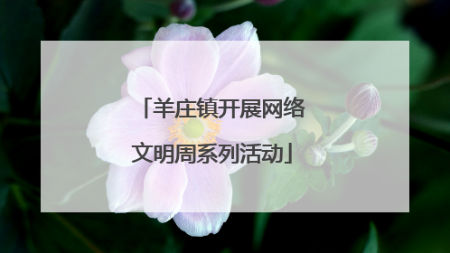 羊庄镇开展网络文明周系列活动