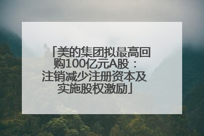 美的集团拟最高回购100亿元A股：注销减少注册资本及实施股权激励