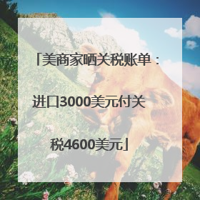 美商家晒关税账单：进口3000美元付关税4600美元