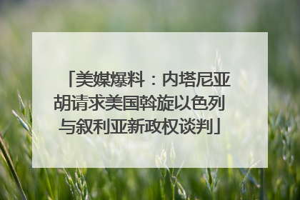 美媒爆料：内塔尼亚胡请求美国斡旋以色列与叙利亚新政权谈判