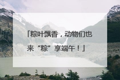 粽叶飘香，动物们也来“粽”享端午！