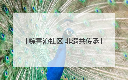 粽香沁社区 非遗共传承