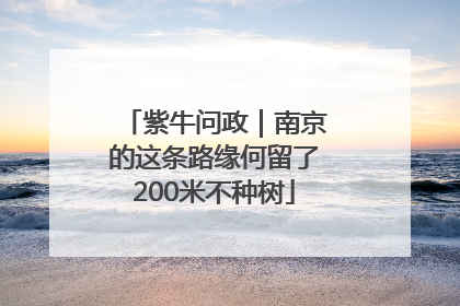 紫牛问政｜南京的这条路缘何留了200米不种树