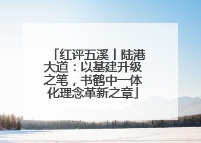 红评五溪丨陆港大道：以基建升级之笔，书鹤中一体化理念革新之章