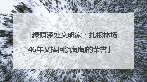 绿荫深处文明家：扎根林场46年又捧回沉甸甸的荣誉