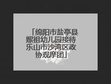 绵阳市盐亭县嫘祖幼儿园接待乐山市沙湾区政协观摩团