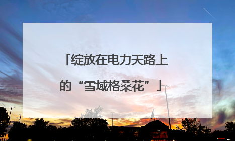 绽放在电力天路上的“雪域格桑花”