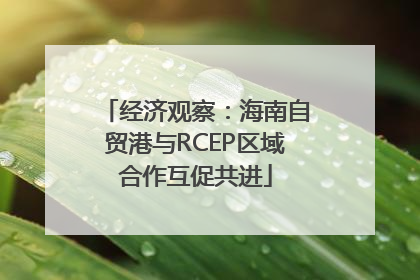 经济观察：海南自贸港与RCEP区域合作互促共进