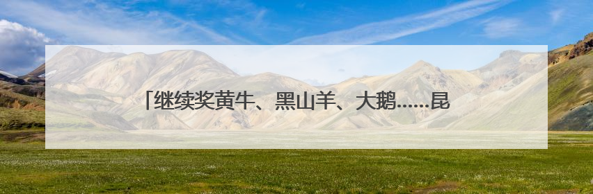 继续奖黄牛、黑山羊、大鹅……昆明禄劝第三届“村BA”来啦！