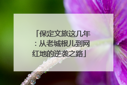 保定文旅这几年：从老城根儿到网红地的逆袭之路