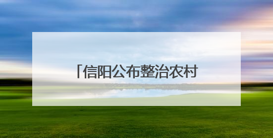 信阳公布整治农村假劣食品典型案例