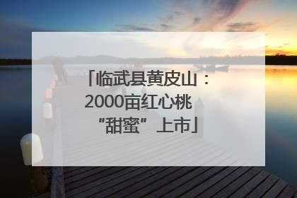 临武县黄皮山：2000亩红心桃“甜蜜”上市