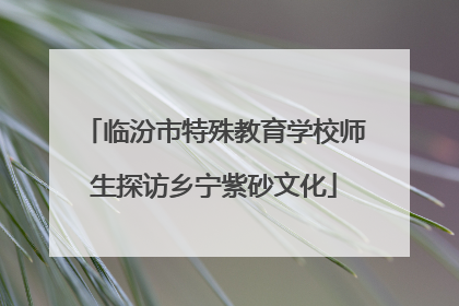 临汾市特殊教育学校师生探访乡宁紫砂文化