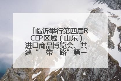 临沂举行第四届RCEP区域（山东）进口商品博览会、共建“一带一路”第三届临沂商城国际采购商大会新闻发布会